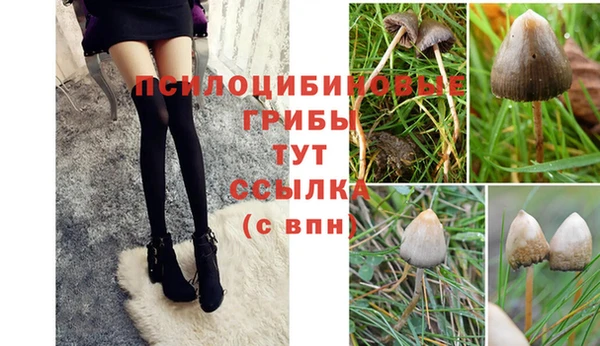каннабис Магас