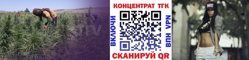 Дистиллят ТГК THC oil  Купить где  Пыталово 