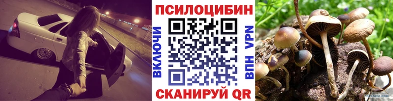 Псилоцибиновые грибы Magic Shrooms  Купить  Пыталово 